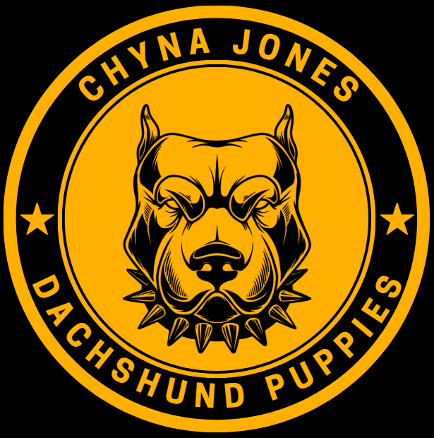 CHYNA JONES DACHSHUNDS
